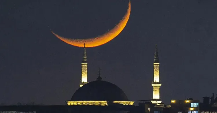 ছবিঃ সংগৃহীত