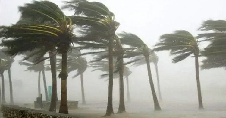 তিন অঞ্চলে ঝড়-বৃষ্টির আশঙ্কা, নদীবন্দরে সতর্ক সংকেত