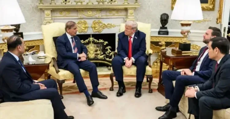 ছবিঃ সংগৃহীত