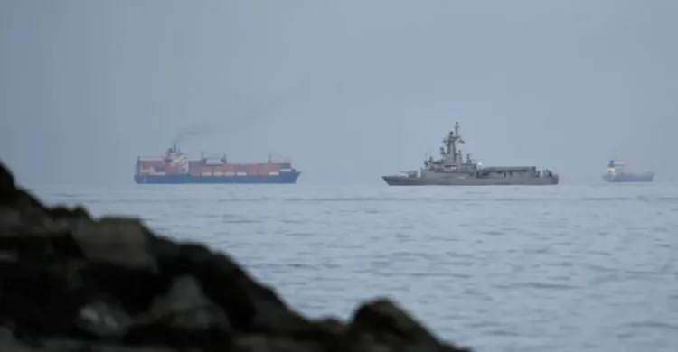 ছবিঃ সংগৃহীত