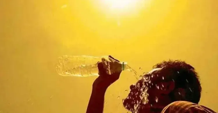 ছবিঃ সংগৃহীত