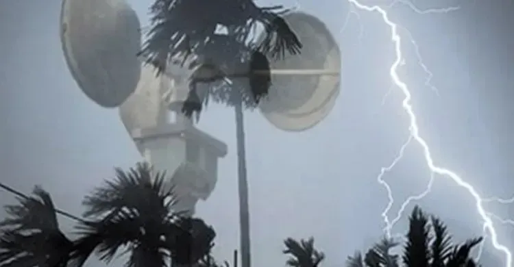 ছবিঃ সংগৃহীত