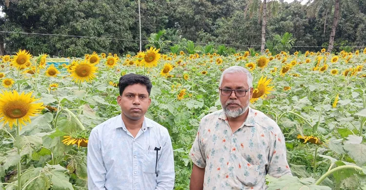 ছবিঃ সংগৃহীত