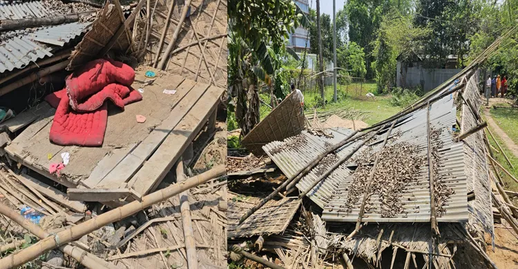 ছবিঃ সংগৃহীত