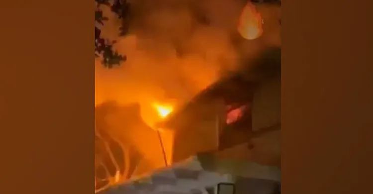 ছবিঃ সংগৃহীত