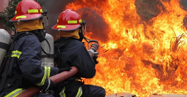 ছবিঃ সংগৃহীত