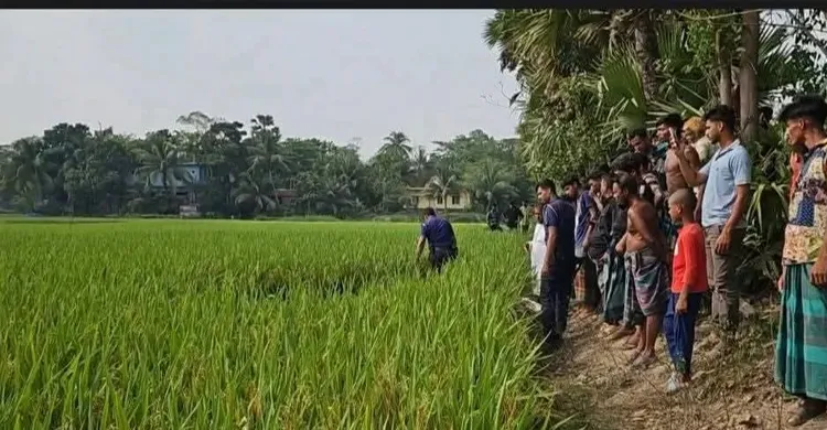 ধানক্ষেতে পড়ে ছিল মুখ বাঁধা ইটভাটা শ্রমিকের মরদেহ