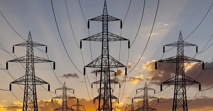 ছবিঃ সংগৃহীত