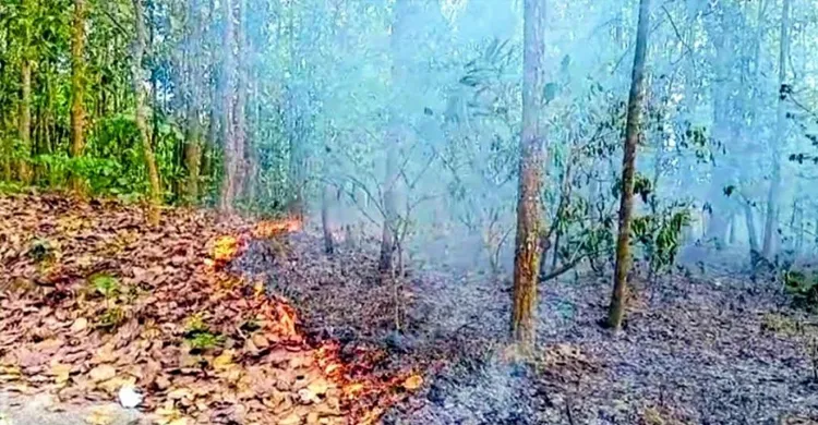 ‎আগুনে পুড়ছে গারো পাহাড়, ভয়াবহ হুমকিতে বনাঞ্চল
