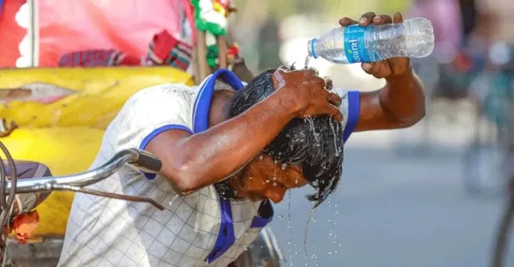 ছবিঃ সংগৃহীত