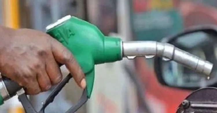 ছবিঃ সংগৃহীত