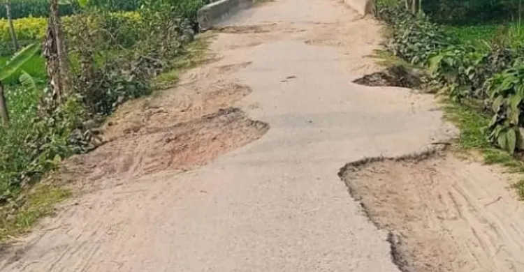 ছবিঃ সংগৃহীত