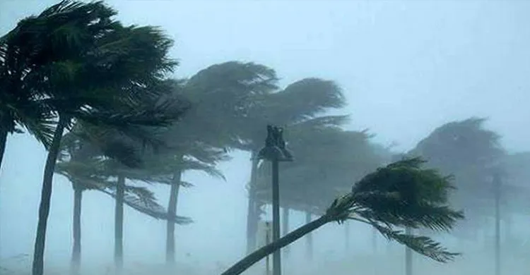 ছবিঃ সংগৃহীত