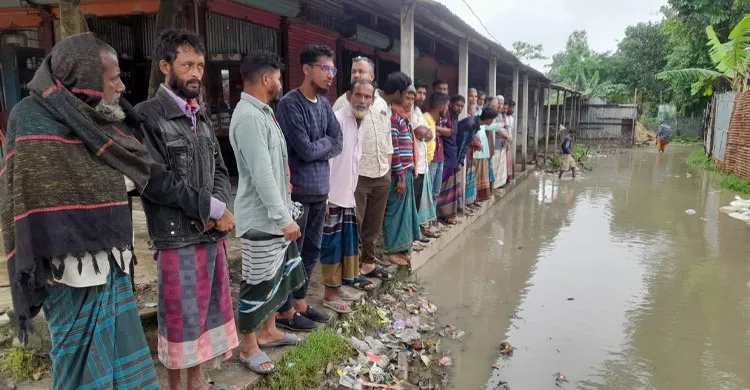 ছবিঃ সংগৃহীত