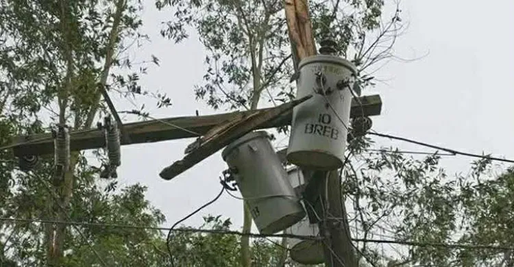 ছবিঃ সংগৃহীত