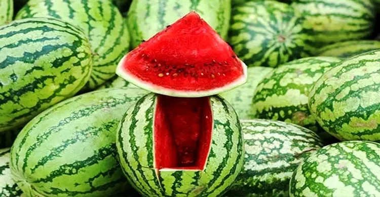 রাতে তরমুজ খেলে হতে পারে যে সমস্যা, জানালেন বিশেষজ্ঞরা