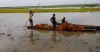 নতুন নতুন এলাকা প্লাবিত, পাকা ধানের সোনালী মাঠ তলিয়ে এবার ভাঙন শুরু