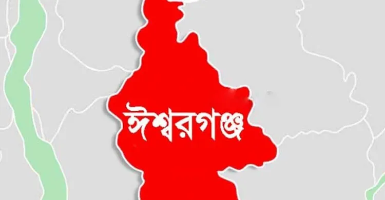 ঈশ্বরগঞ্জে ধান কেটে ফেরার পথে হামলা: আহত ১০