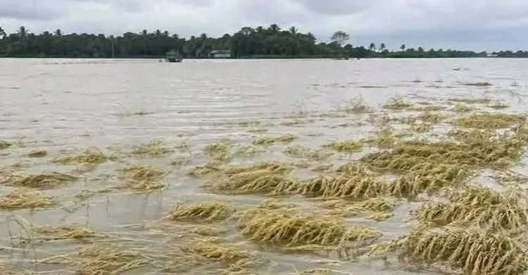 ৮ নদীর পানি বিপৎসীমার ওপরে, উত্তর-পূর্বে বন্যার শঙ্কা