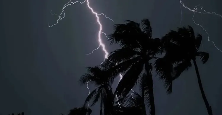 ছবিঃ সংগৃহীত