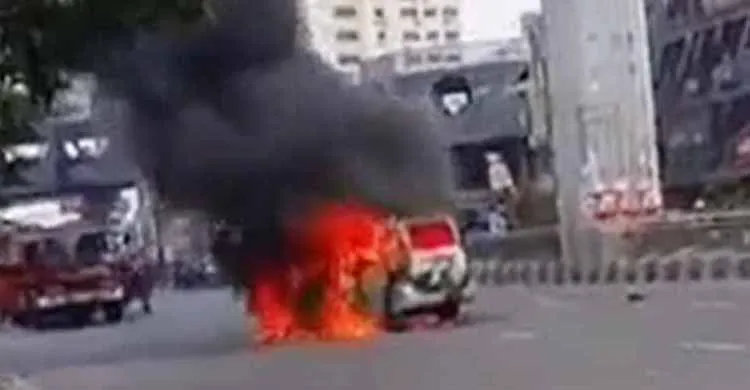 ছবিঃ সংগৃহীত