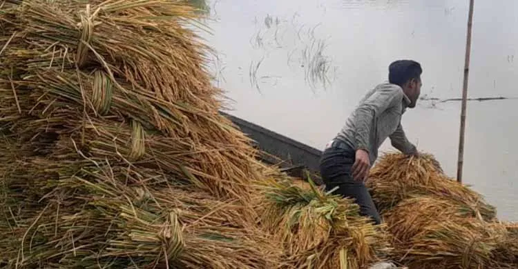 ছবিঃ সংগৃহীত