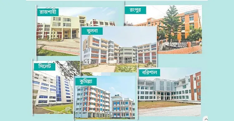 ছবিঃ সংগৃহীত
