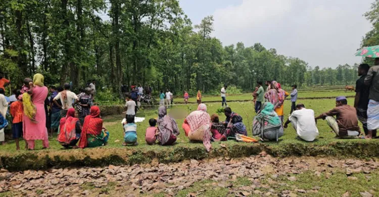 ছবিঃ সংগৃহীত