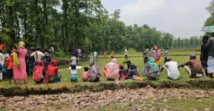 শ্রীপুরে নিখোঁজ অটোরিকশা চালকের মরদেহ মিলল জঙ্গলে