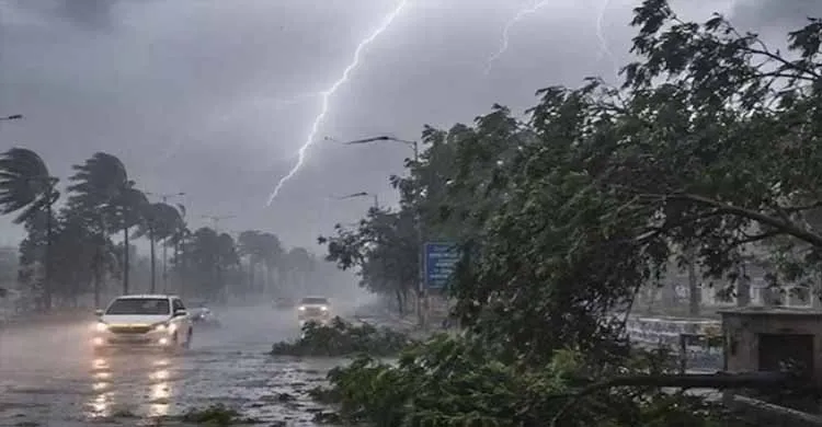 ছবিঃ সংগৃহীত