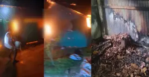 কাপাসিয়ায় পূর্ব শত্রুতার জেরে গোয়ালঘরে আগুন : লক্ষাধিক টাকার ক্ষয়ক্ষতি