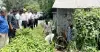 সোনাগাজীতে খালে পোল্ট্রি বর্জ্য ফেলায় অভিযান, জরিমানা ও ড্রেন সিলগালা