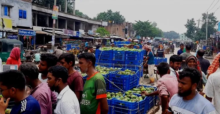 রাজশাহীর আমের বাজারে বিক্রেতা আছে ক্রেতা নেই