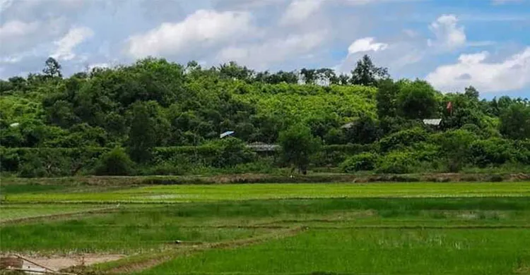 বান্দরবান সীমান্তে মাইন বিস্ফোরণে নিহত ৩