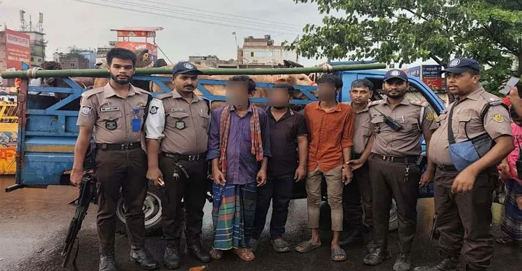 সার্জেন্টের বিচক্ষণতায় ছিনতাইকৃত গরু-ছাগল ভর্তি পিকআপ উদ্ধার, আটক ৩