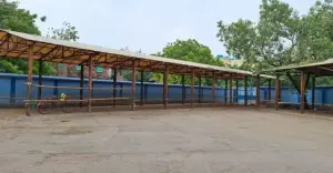 কলকাতায় কোরবানির ঈদের আগে গরু সরবরাহ সংকট, বাজারে পরিবর্তন
