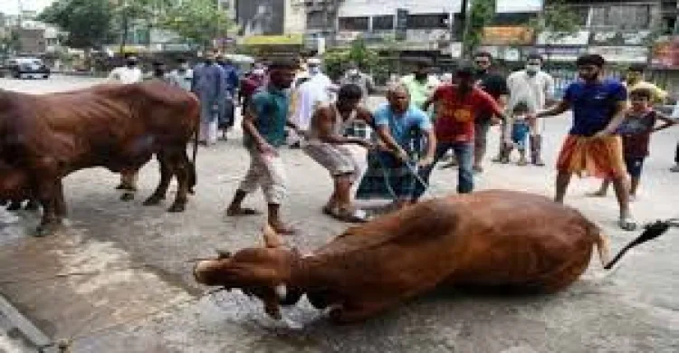 ছবিঃ সংগৃহীত