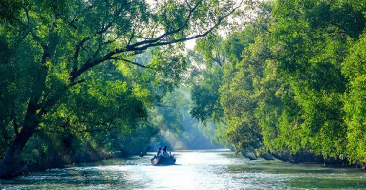 সুন্দরবনে তিন মাস প্রবেশ নিষিদ্ধ