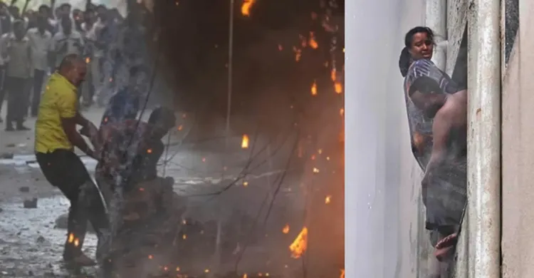 ছবিঃ সংগৃহীত