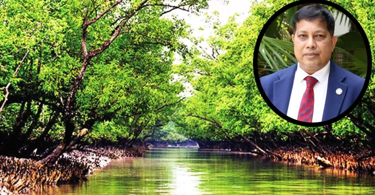 সুন্দরবন সুরক্ষা: ম্যানগ্রোভ পুনরুদ্ধার, জীববৈচিত্র্য সংরক্ষণ ও ব্লু কার্বন অর্থায়ন