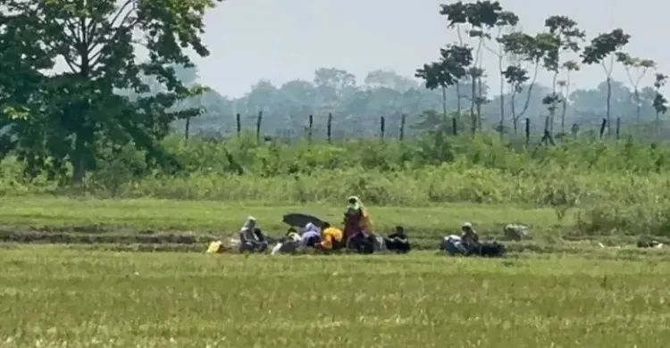 ছবিঃ সংগৃহীত