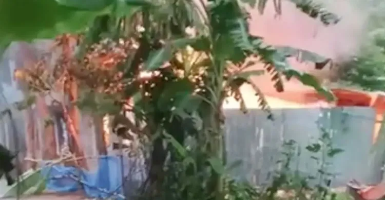 পাবনায় কিশোরীকে ধর্ষণ-হত্যা মামলার জেরে অগ্নিসংযোগ, দগ্ধ হয়ে নিহত ৩