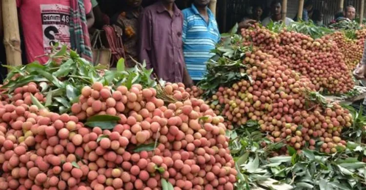 ছবিঃ সংগৃহীত