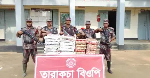 ফেনী সীমান্তে বিজিবির অভিযানে ৪১ লাখ টাকার ভারতীয় পণ্য জব্দ