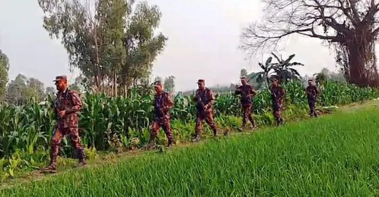 ছবিঃ সংগৃহীত