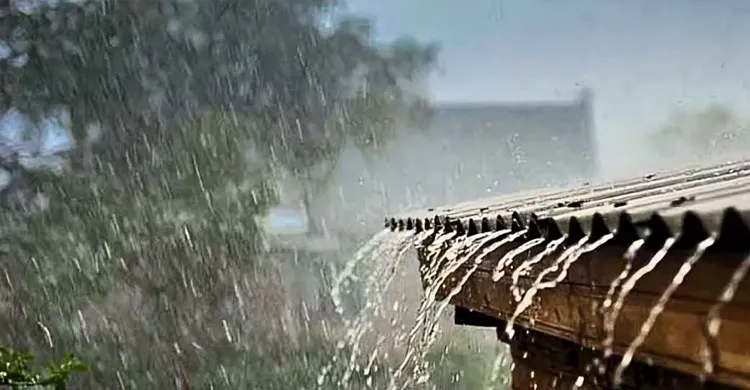 ছবিঃ সংগৃহীত