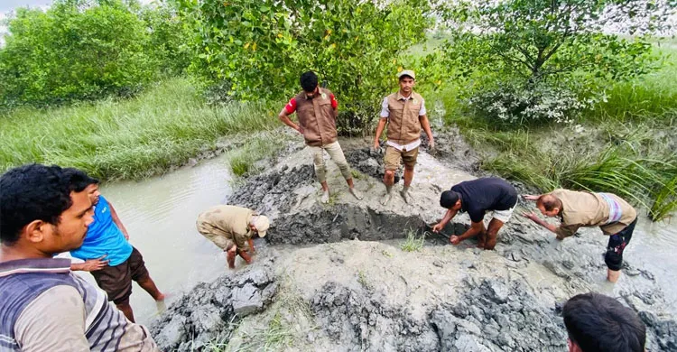 জীববৈচিত্র্য রক্ষায় বন বিভাগের অভিযান, অপসারণ ১৬ অবৈধ বাঁধ