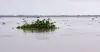 উজানের ঢলে তিস্তার পানি বিপৎসীমার ওপরে