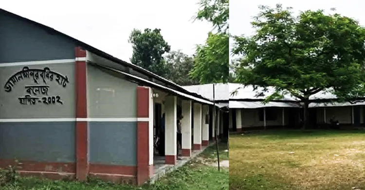 ছবিঃ সংগৃহীত