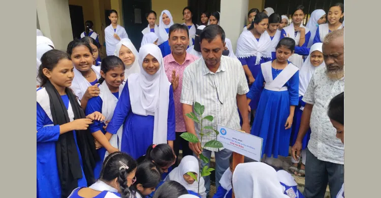 ছবিঃ সংগৃহীত